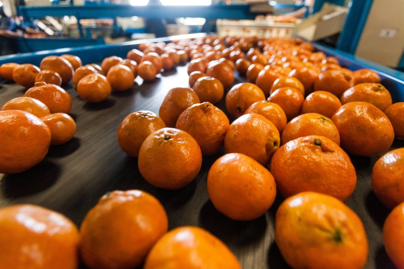 Aplicación para el embalaje de productos frescos